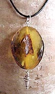 Baltic Polish Amber Bead Pendant